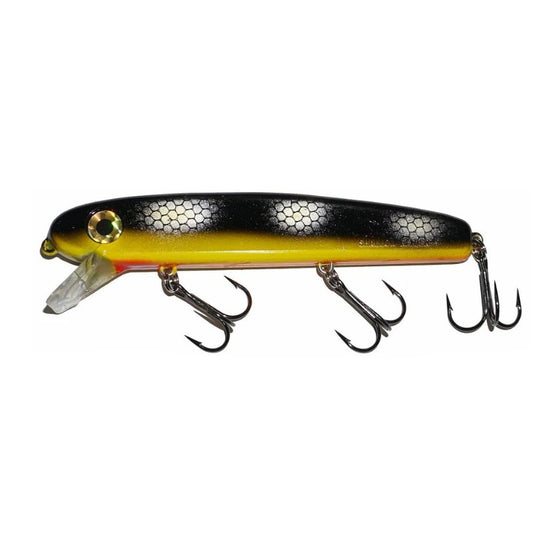 Shallow Raider 5in - Standard