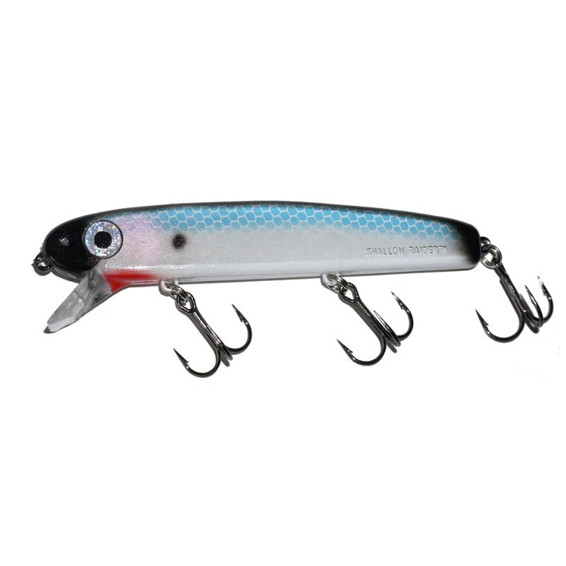 Shallow Raider 5in - Standard