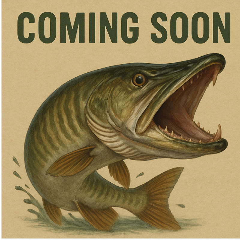 Buchertails Original 500 Series