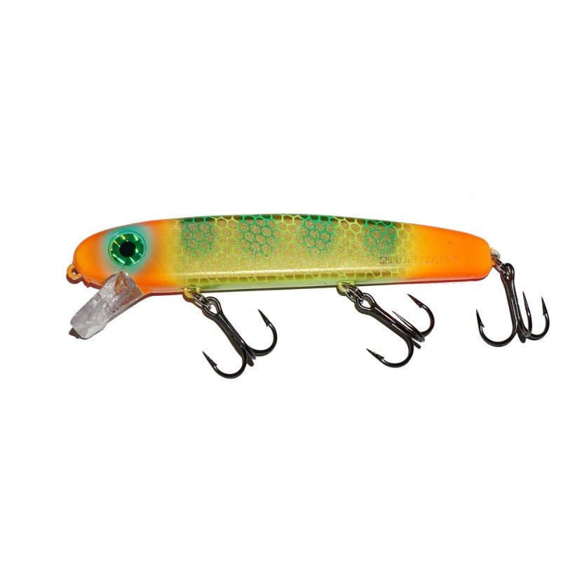 Shallow Raider 5in - Standard