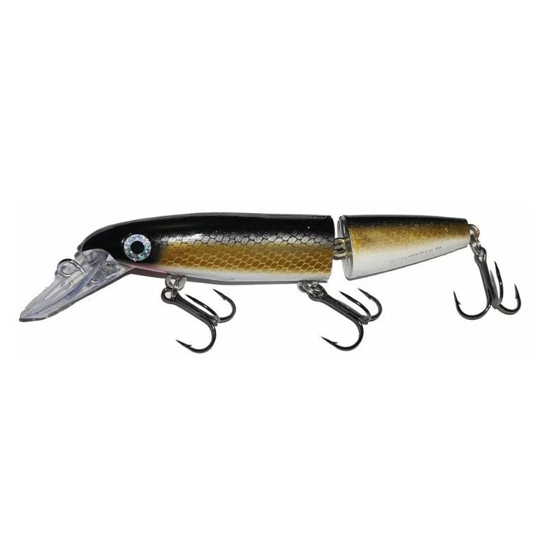 Bucher Depth Raider 8
